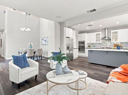 248 S Pacifico St, Mountain House, CA 95391 Photo