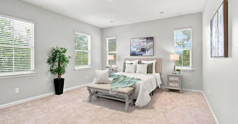 248 S Pacifico St, Mountain House, CA 95391 Photo
