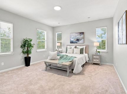 248 S Pacifico St, Mountain House, CA 95391 Photo