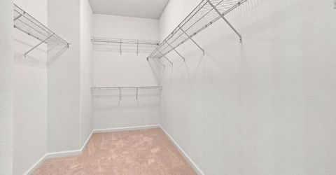248 S Pacifico St, Mountain House, CA 95391 Photo
