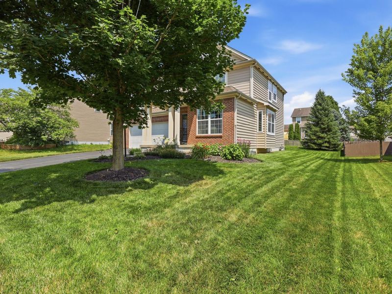 737 Brevard Circle, Pickerington, OH 43147 Photo 4