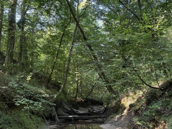 Monte Vista Road , Eupora, MS 39744