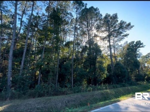 0 Higgins Road, Mobile, AL 36619