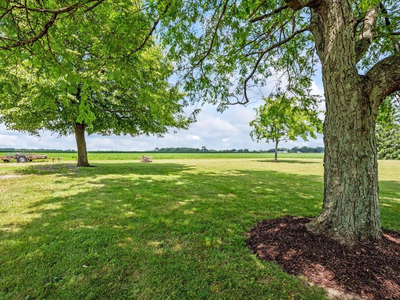 5310 N Rangeline Road, Covington, OH 45318 Photo 47