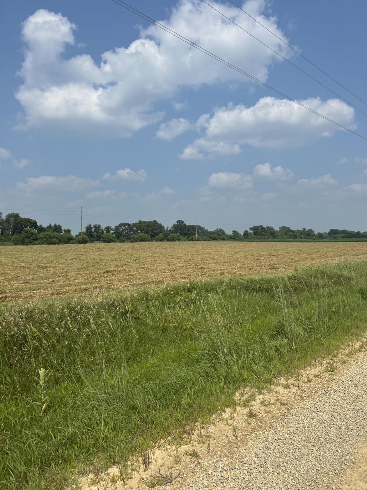 Lot 3 Block 1 Cannon River Boulevard , Randolph, MN 55065