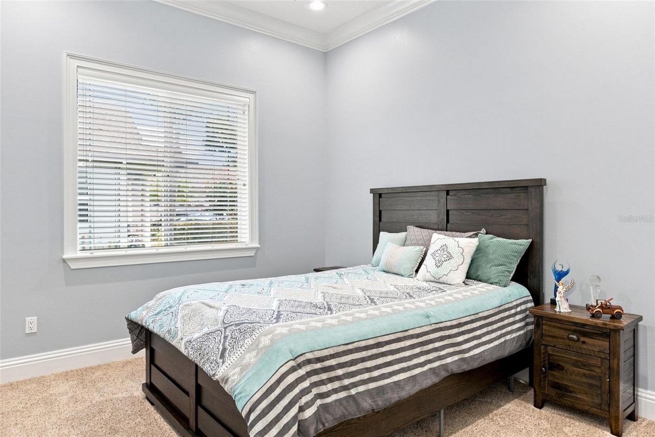 2208 Princess Julia Lane, Lutz, FL 33549 Photo