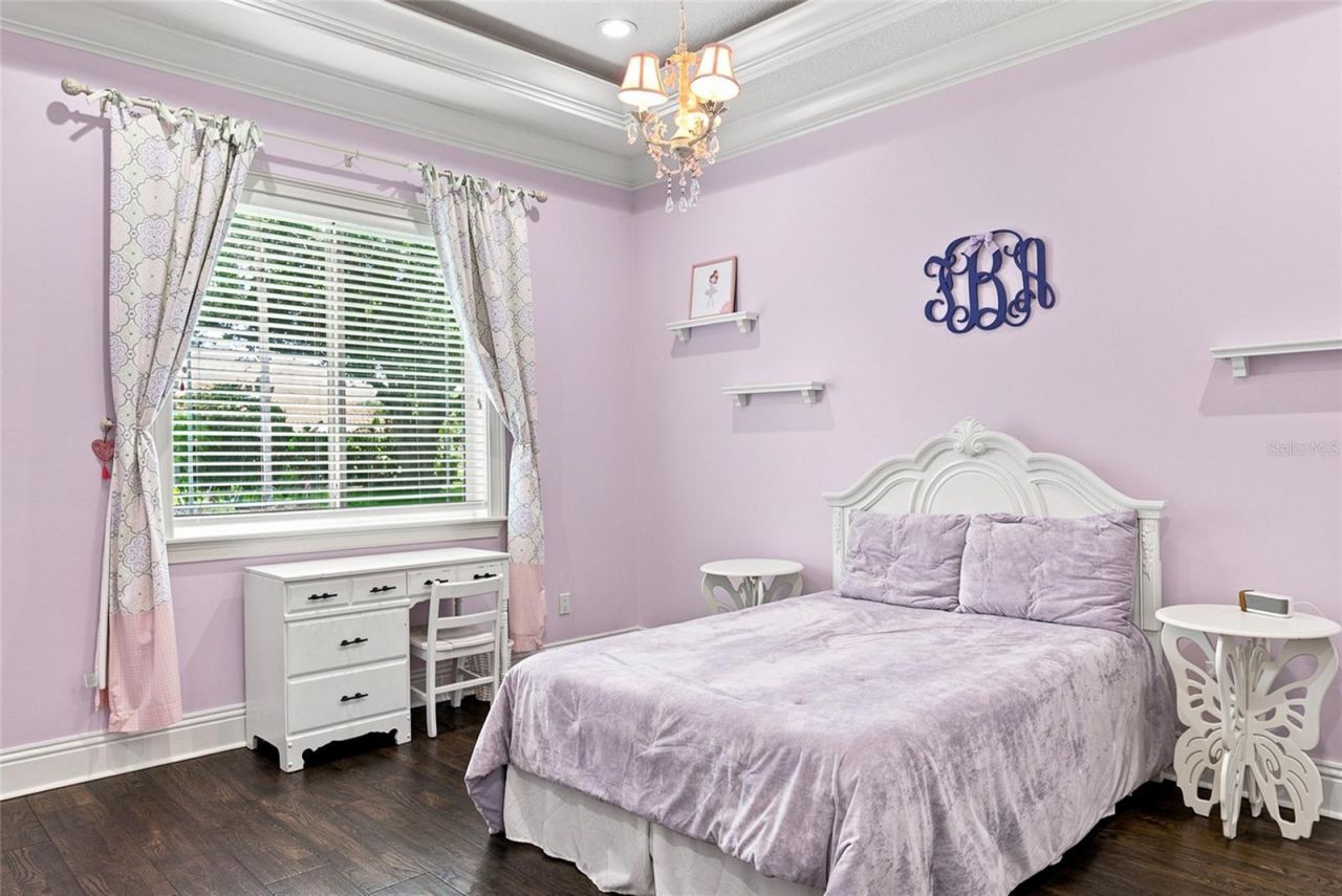 2208 Princess Julia Lane, Lutz, FL 33549 Photo