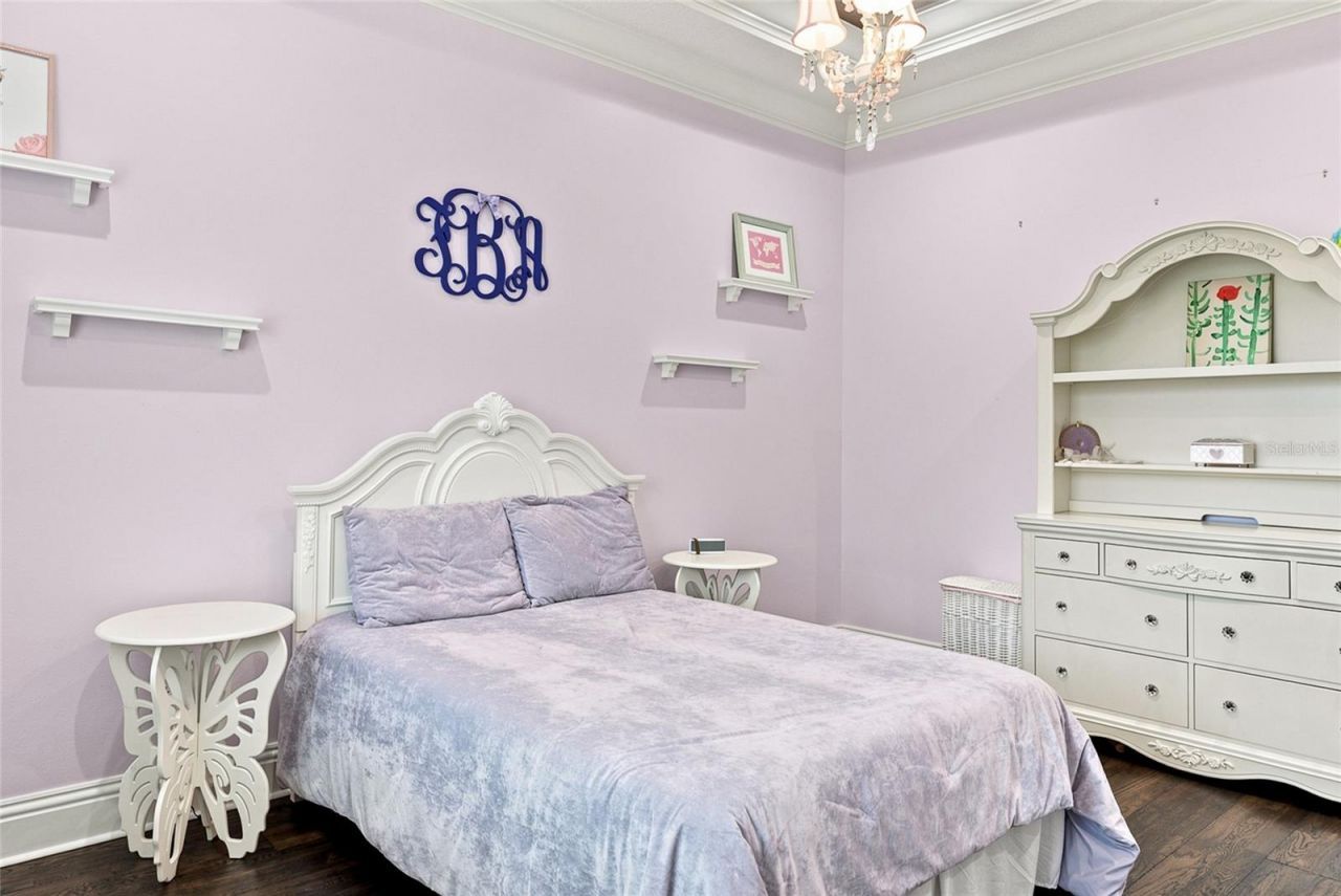 2208 Princess Julia Lane, Lutz, FL 33549 Photo