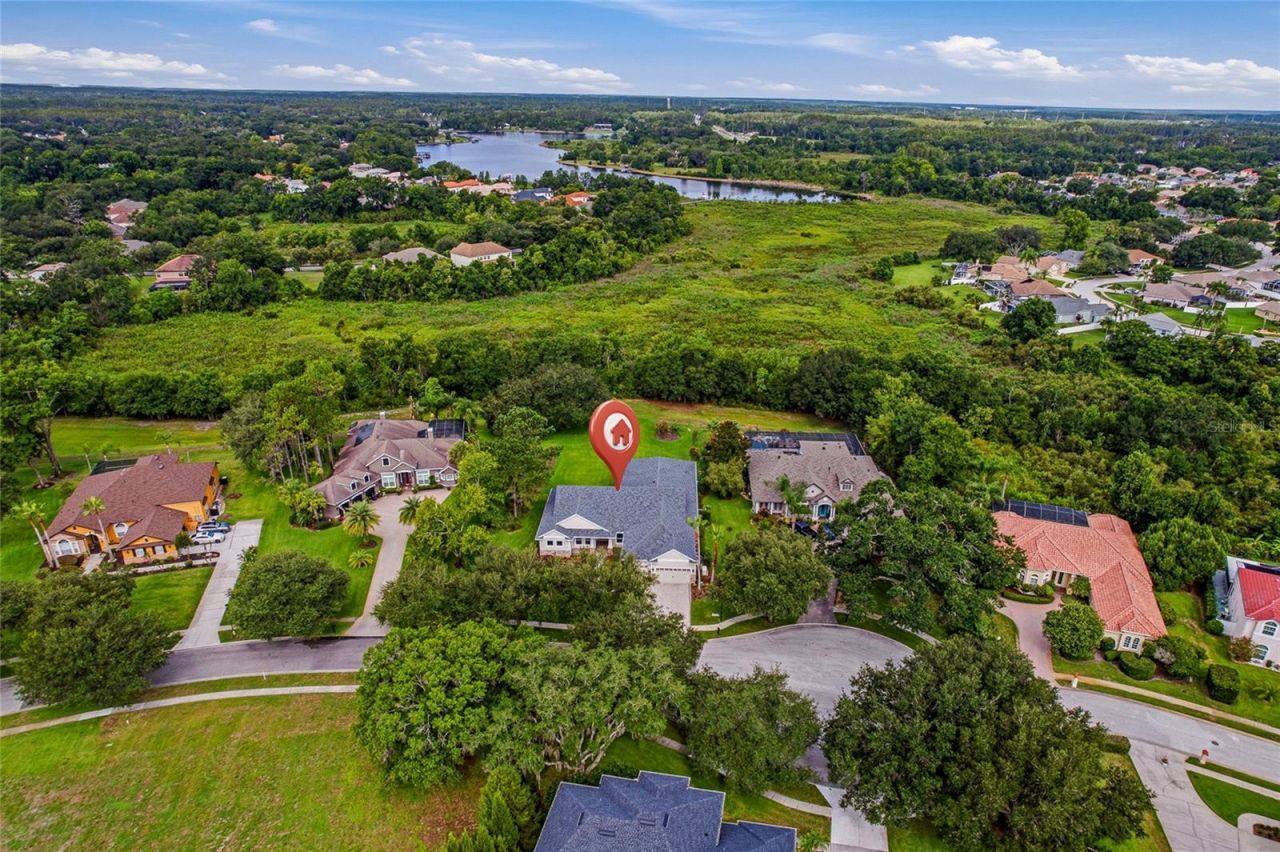 2208 Princess Julia Lane, Lutz, FL 33549 Photo
