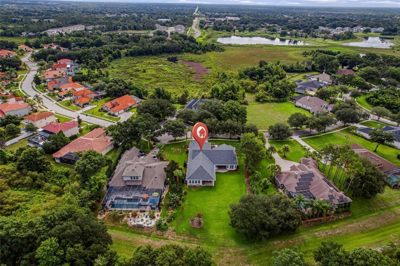 2208 Princess Julia Lane, Lutz, FL 33549 Photo