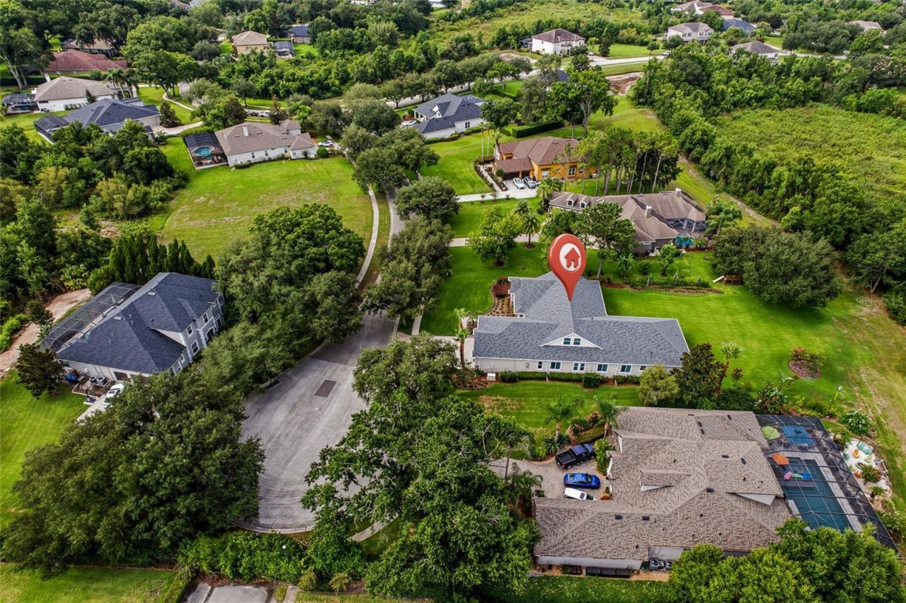 2208 Princess Julia Lane, Lutz, FL 33549 Photo