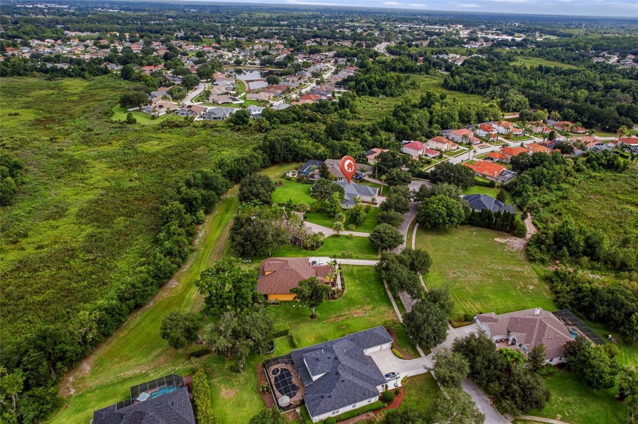 2208 Princess Julia Lane, Lutz, FL 33549 Photo