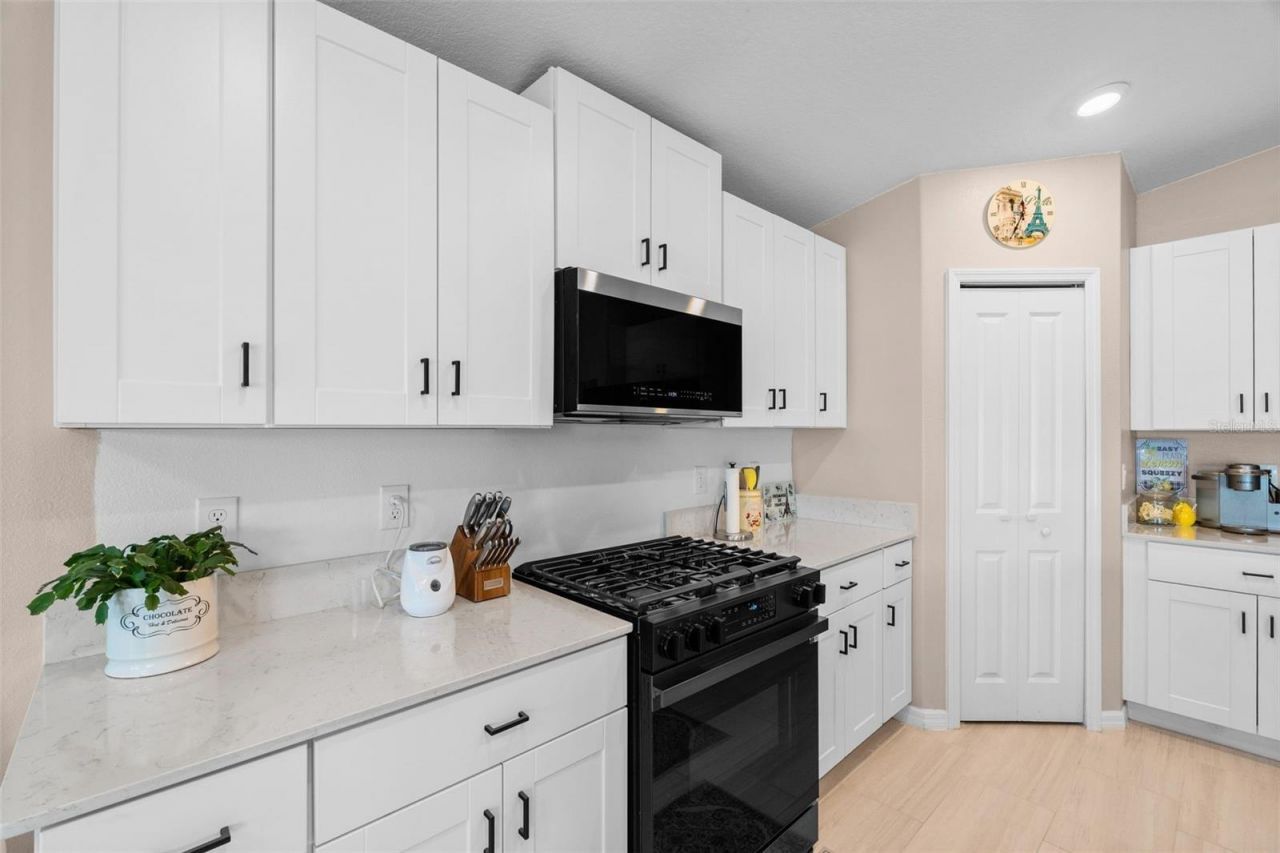 13608 Sunset Sapphire Court, Parrish, FL 34219 Photo