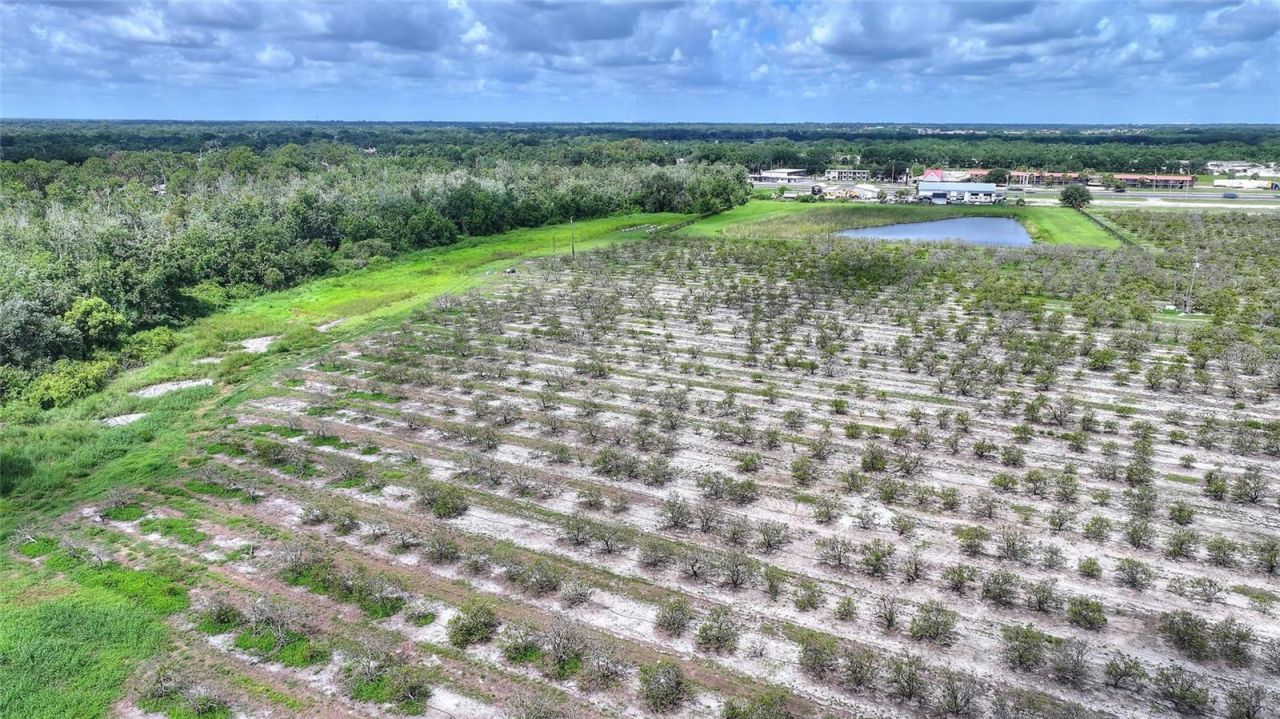 U S Highway 27, Dundee, FL 33838 Photo
