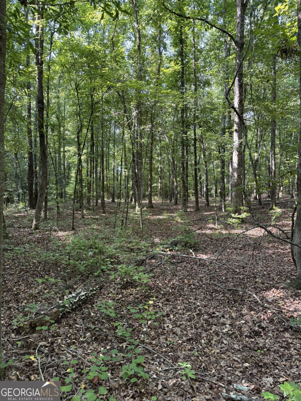 0 Beaverdam Road, Winterville, GA 30683 Main Photo