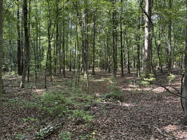 0 Beaverdam Road, Winterville, GA 30683