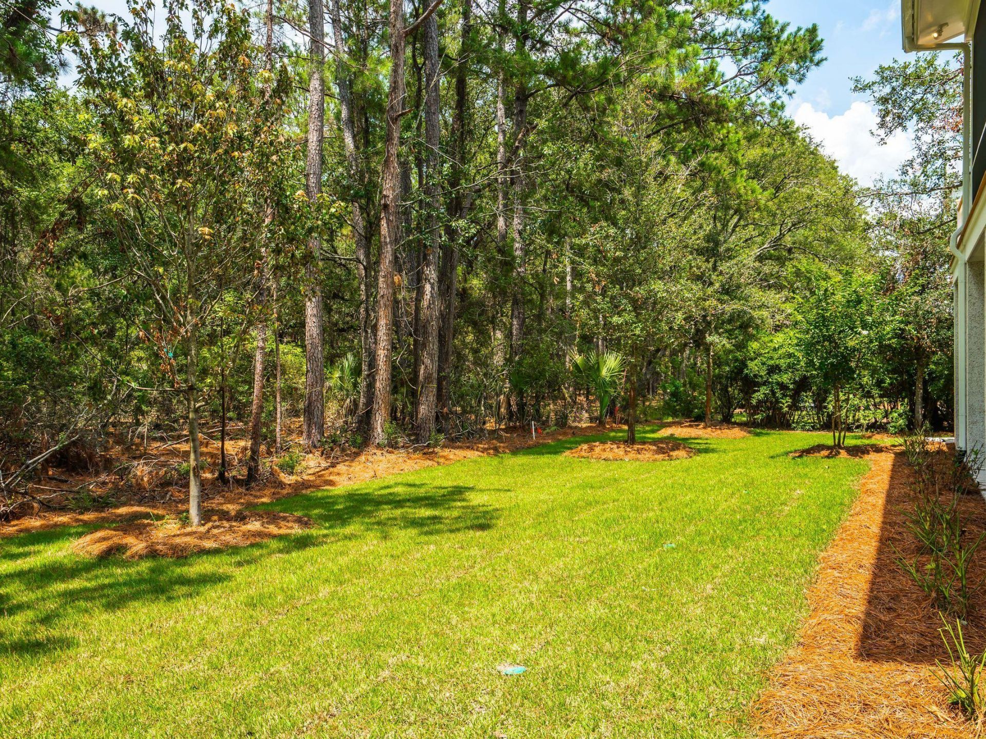 2862 Maritime Drive Photo 23