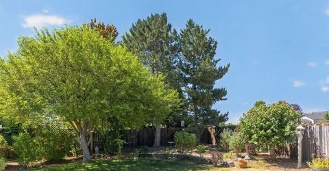 736 Mammoth Way, Gardnerville, NV 89460 Photo