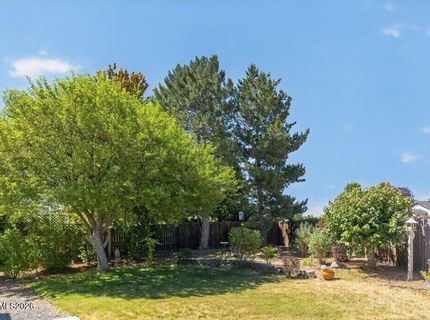 736 Mammoth Way, Gardnerville, NV 89460 Photo