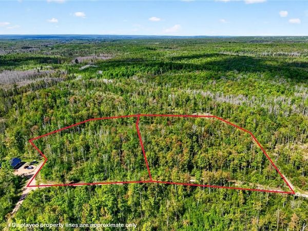 Lot 40 and 41 Horse Creek Trail, Ojibwa, WI 54862