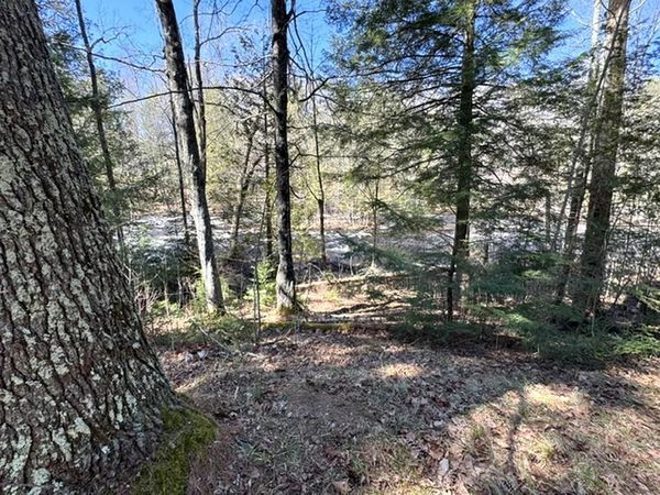 14089 SECTION 4 LANE, Mountain, WI 54149