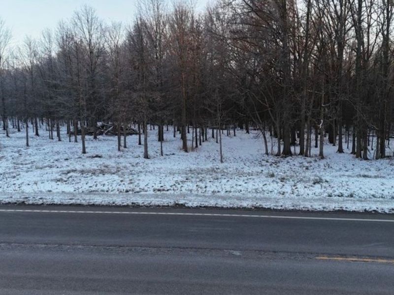 State Route 14, Deerfield, OH 44411 Photo 10