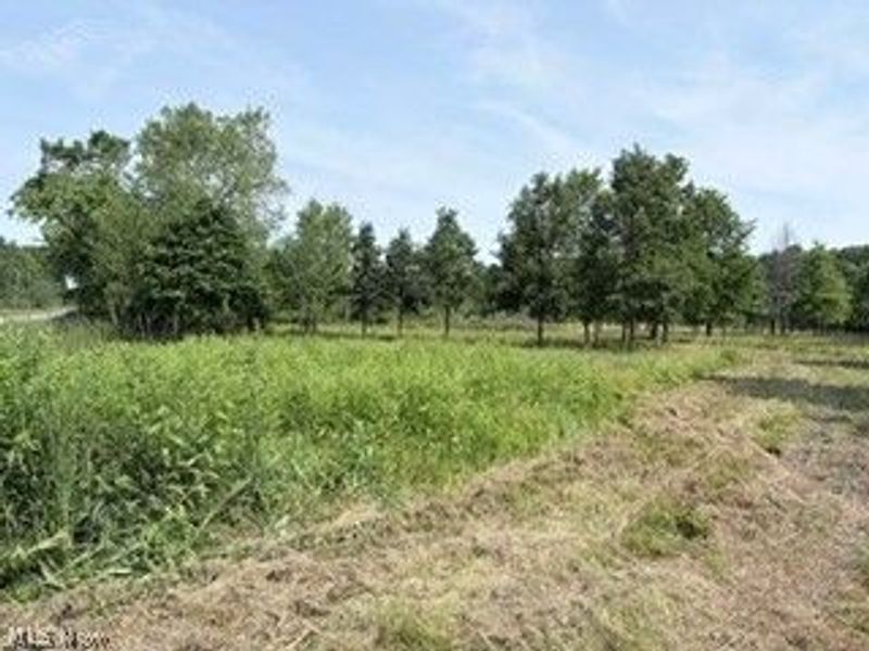State Route 14, Deerfield, OH 44411 Photo 3