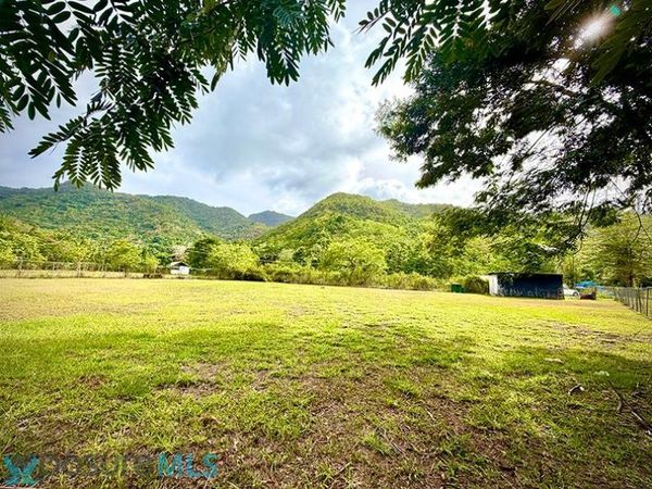 14 CARR, Cayey, PR 00736
