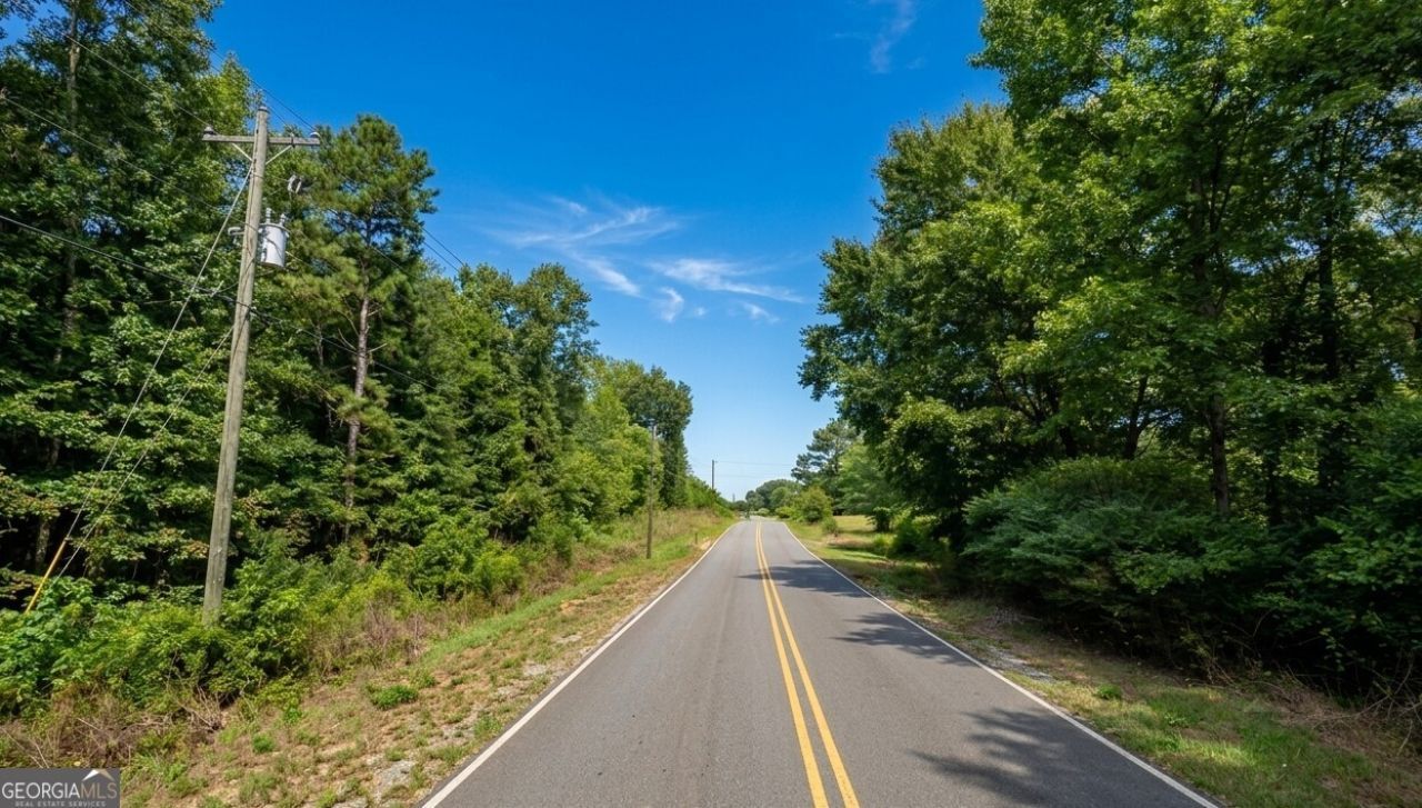 0 County Road 1564, Baileyton, AL 35019 Main Photo