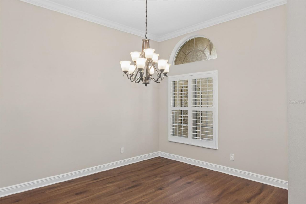 26920 Winged Elm Drive, Wesley Chapel, FL 33544 Photo