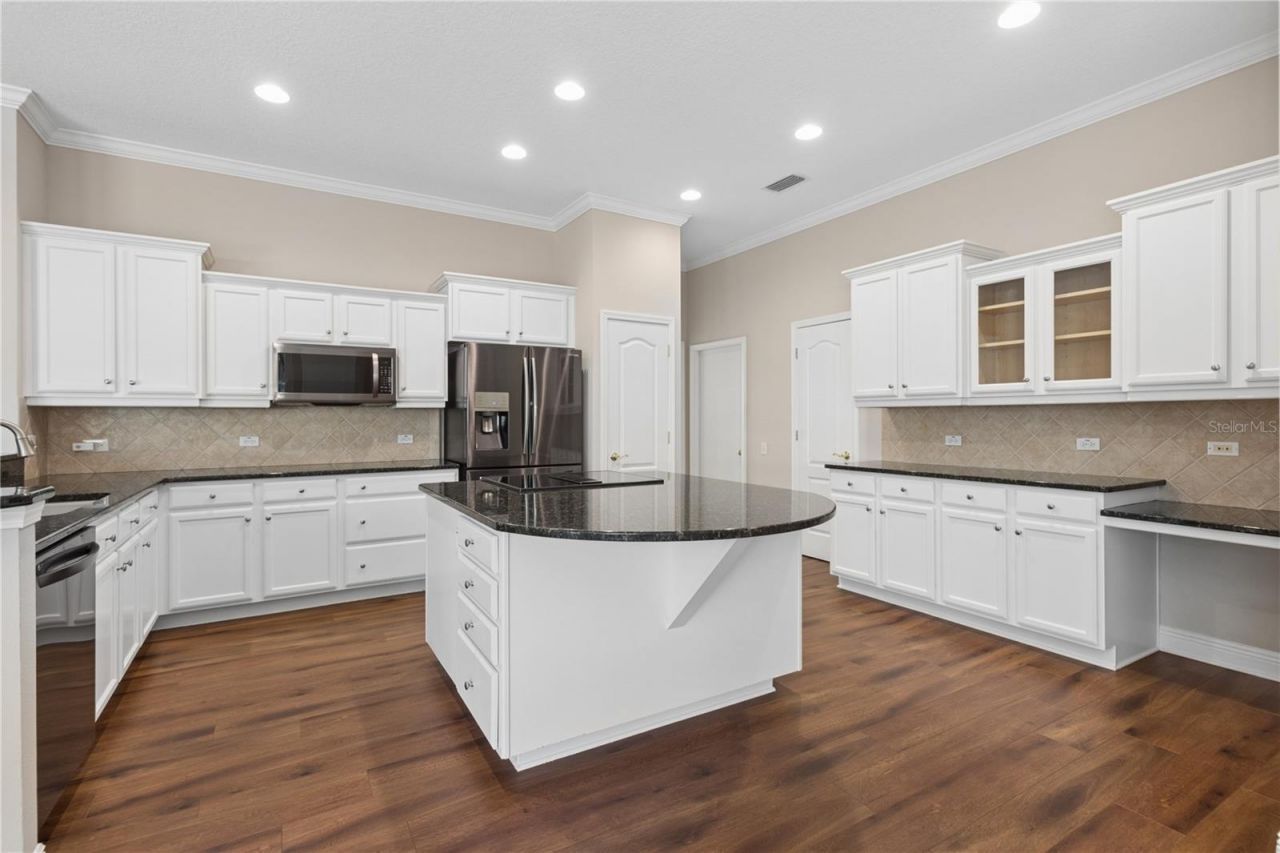 26920 Winged Elm Drive, Wesley Chapel, FL 33544 Photo