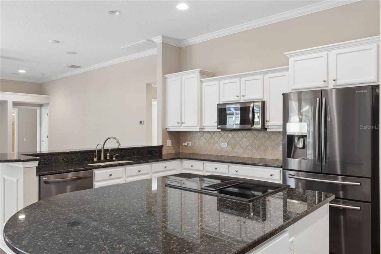 26920 Winged Elm Drive, Wesley Chapel, FL 33544 Photo