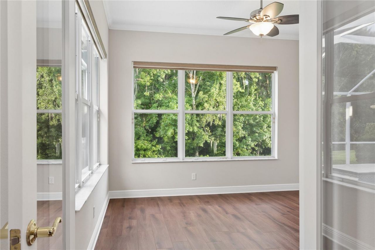 26920 Winged Elm Drive, Wesley Chapel, FL 33544 Photo