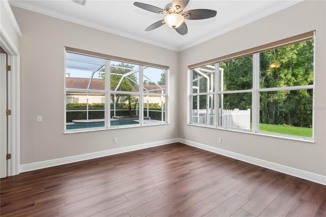 26920 Winged Elm Drive, Wesley Chapel, FL 33544 Photo