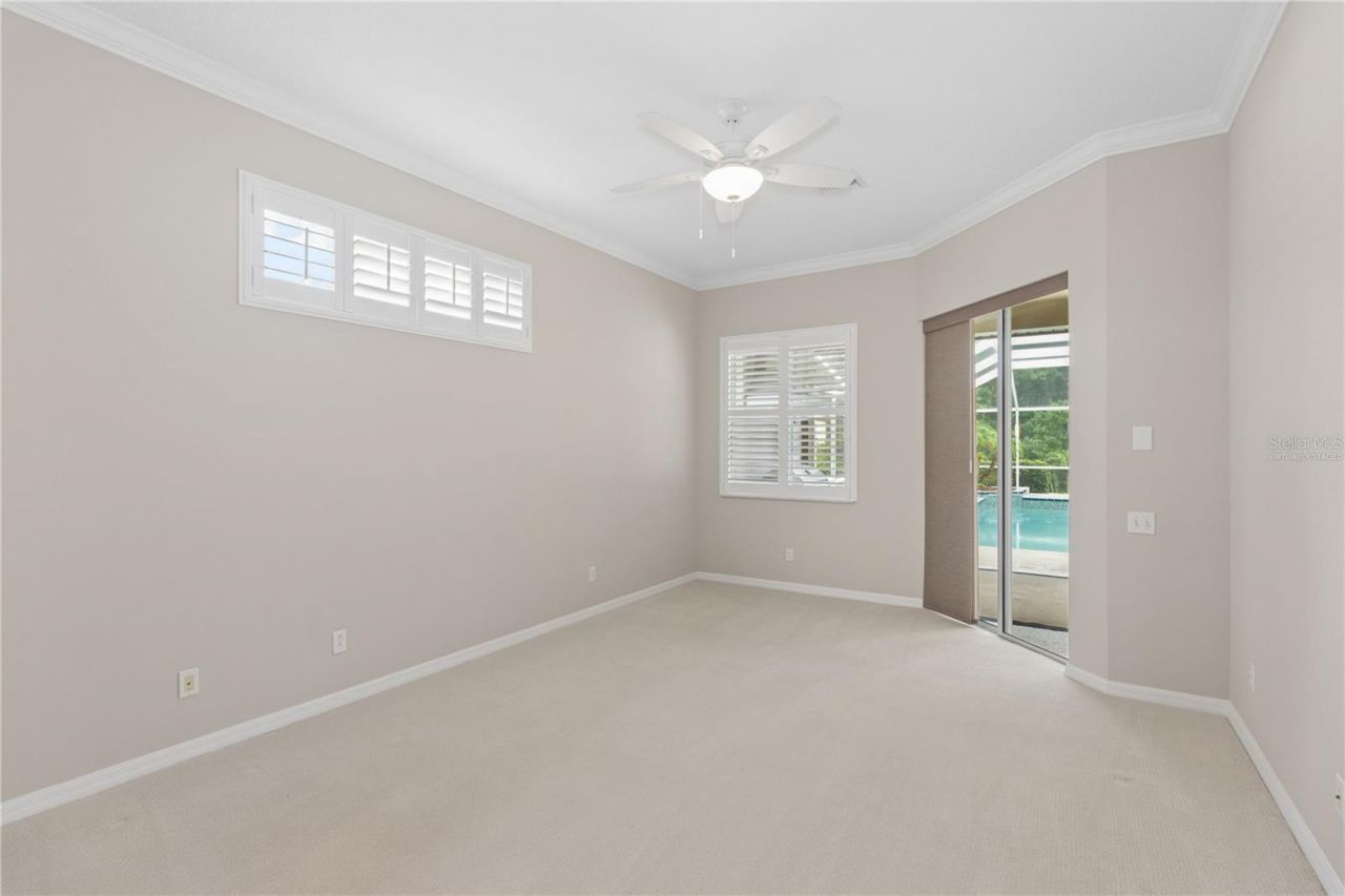 26920 Winged Elm Drive, Wesley Chapel, FL 33544 Photo