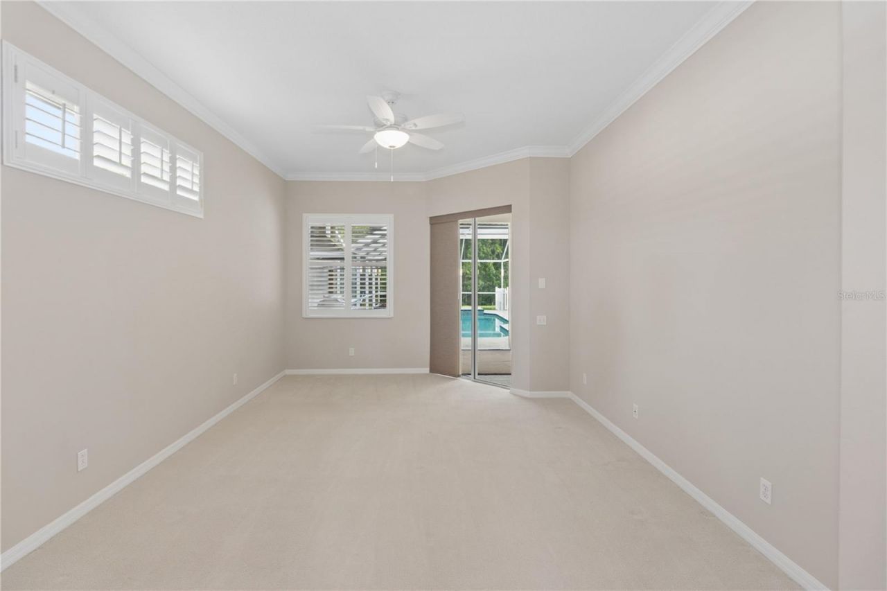 26920 Winged Elm Drive, Wesley Chapel, FL 33544 Photo