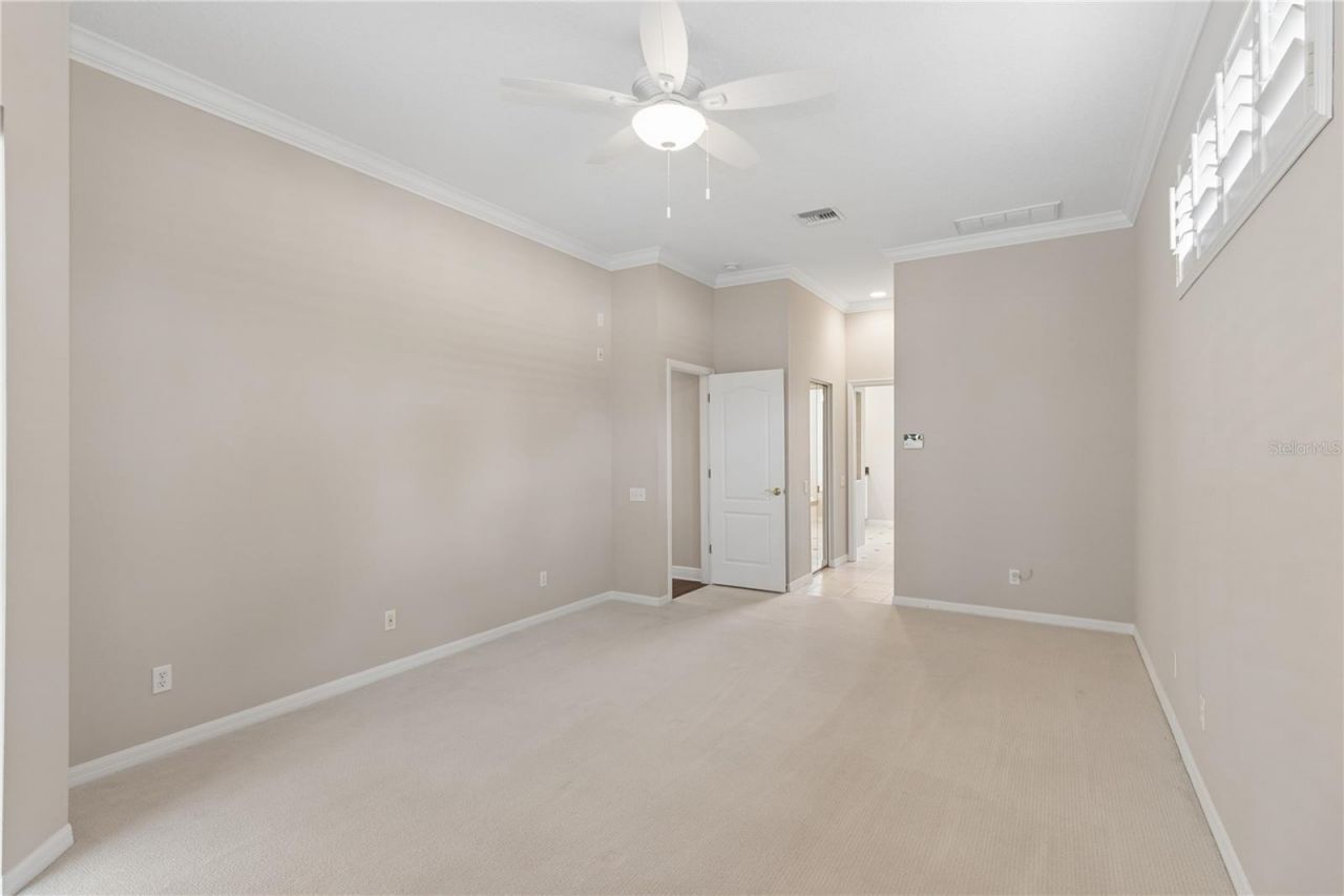 26920 Winged Elm Drive, Wesley Chapel, FL 33544 Photo