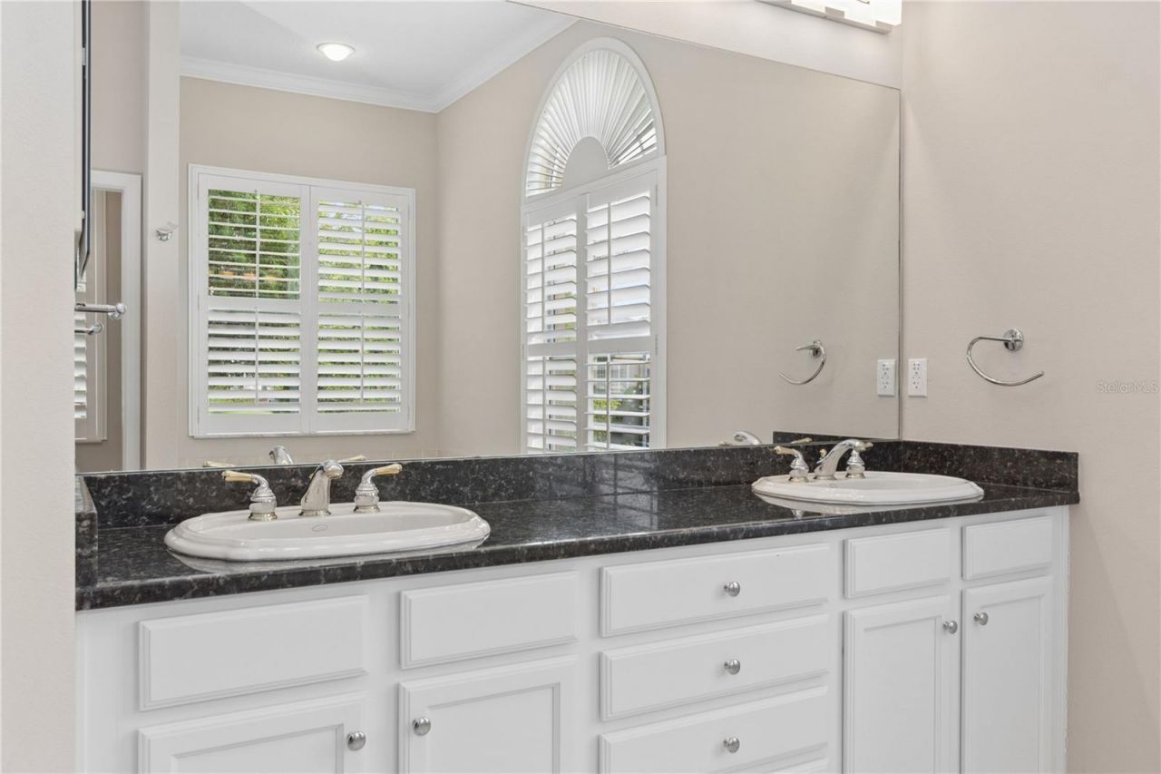 26920 Winged Elm Drive, Wesley Chapel, FL 33544 Photo