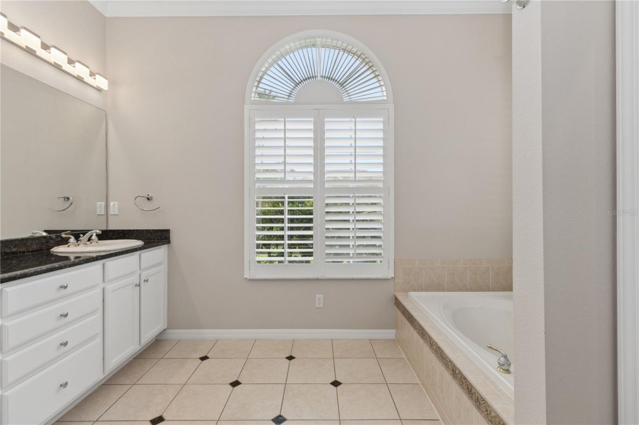 26920 Winged Elm Drive, Wesley Chapel, FL 33544 Photo