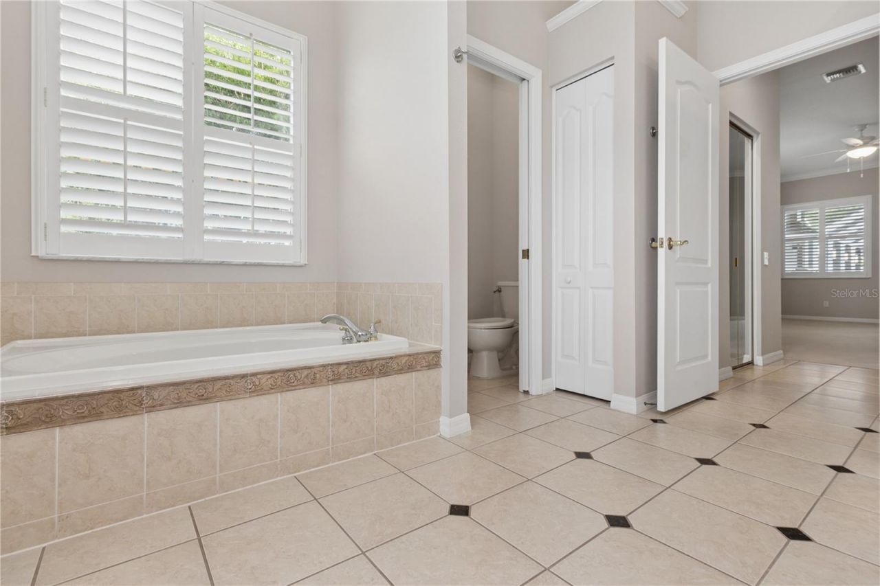 26920 Winged Elm Drive, Wesley Chapel, FL 33544 Photo