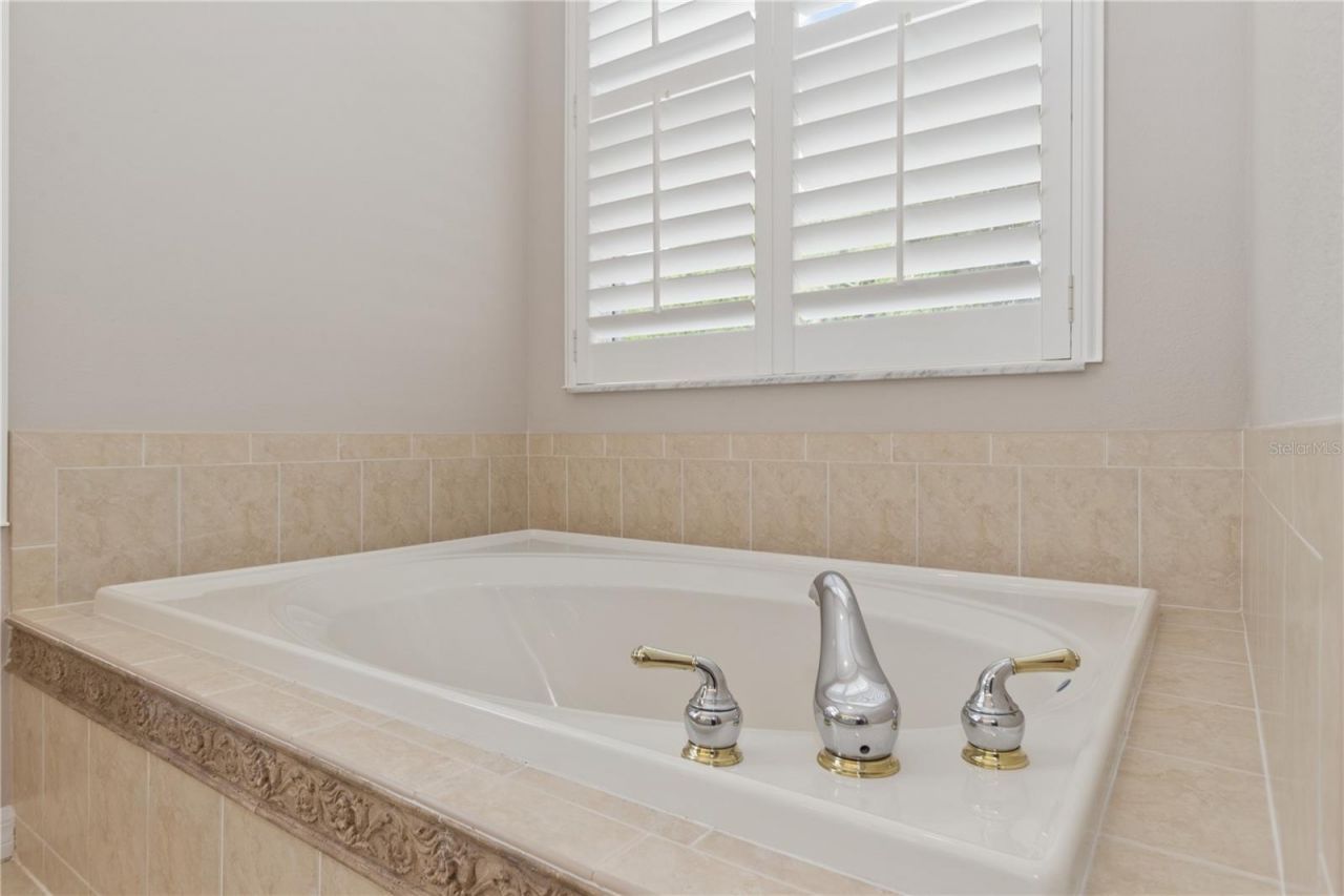 26920 Winged Elm Drive, Wesley Chapel, FL 33544 Photo