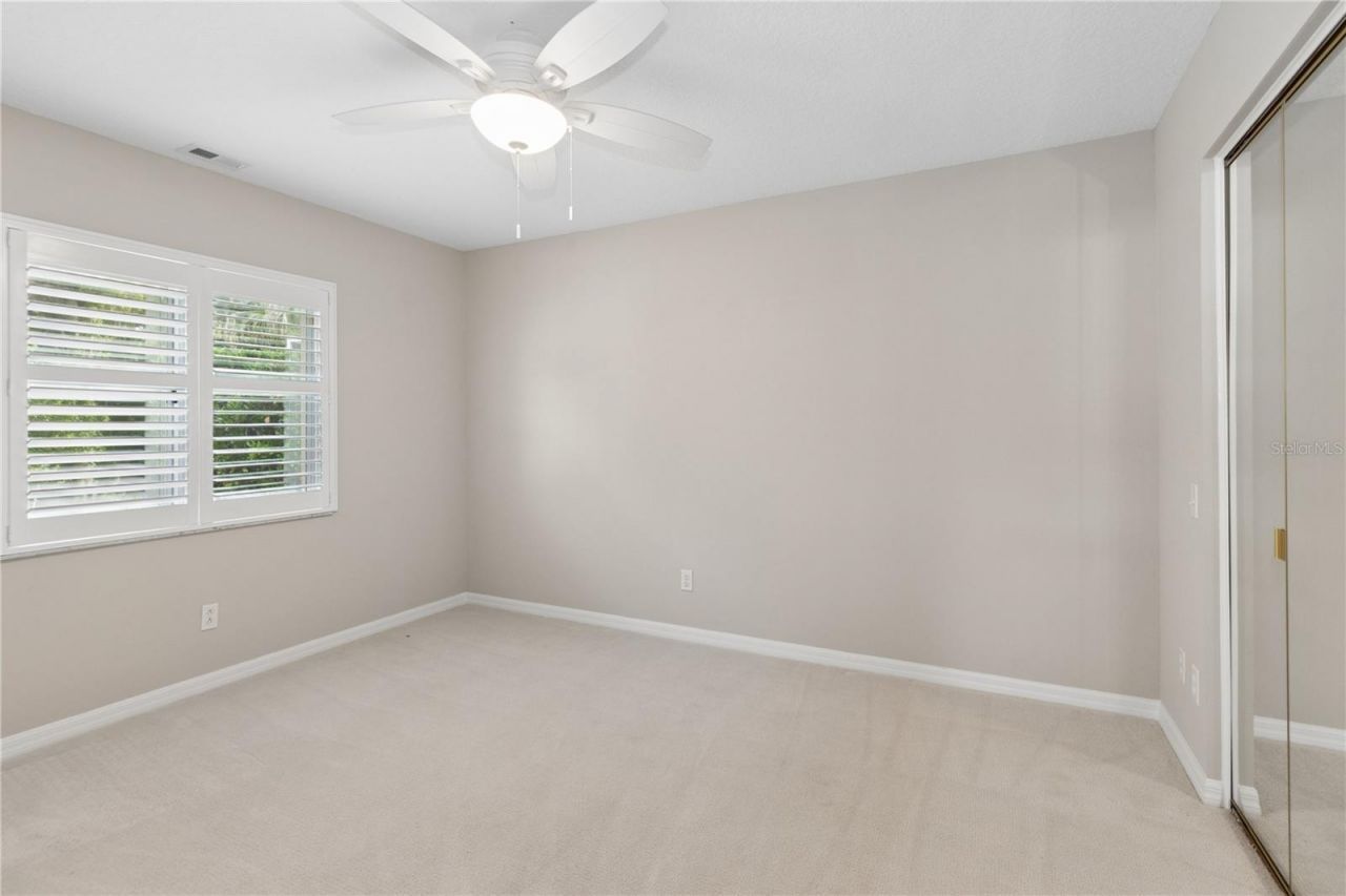 26920 Winged Elm Drive, Wesley Chapel, FL 33544 Photo