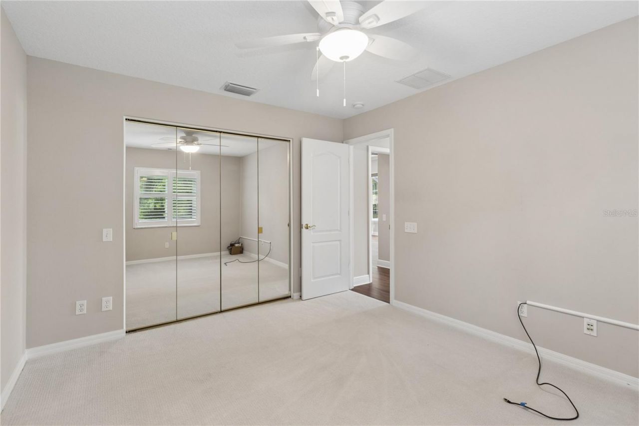 26920 Winged Elm Drive, Wesley Chapel, FL 33544 Photo