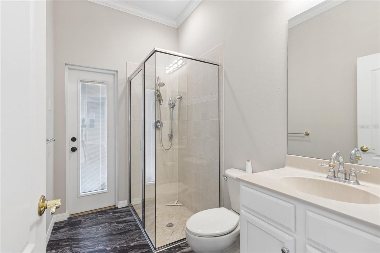26920 Winged Elm Drive, Wesley Chapel, FL 33544 Photo