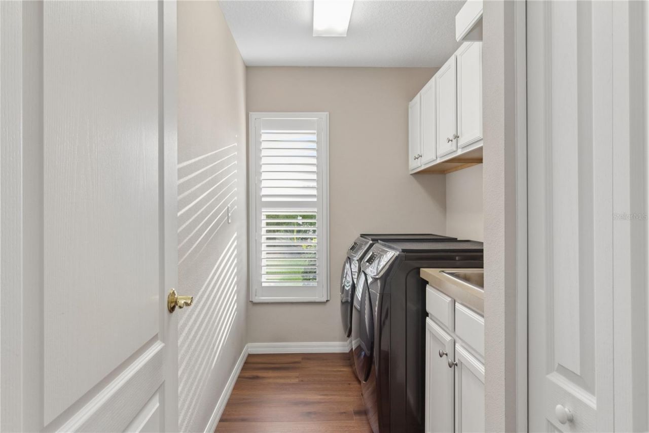 26920 Winged Elm Drive, Wesley Chapel, FL 33544 Photo