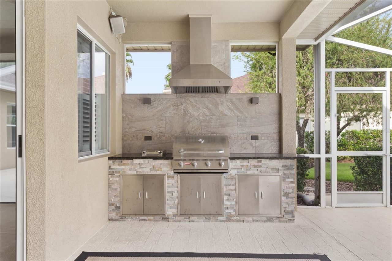 26920 Winged Elm Drive, Wesley Chapel, FL 33544 Photo