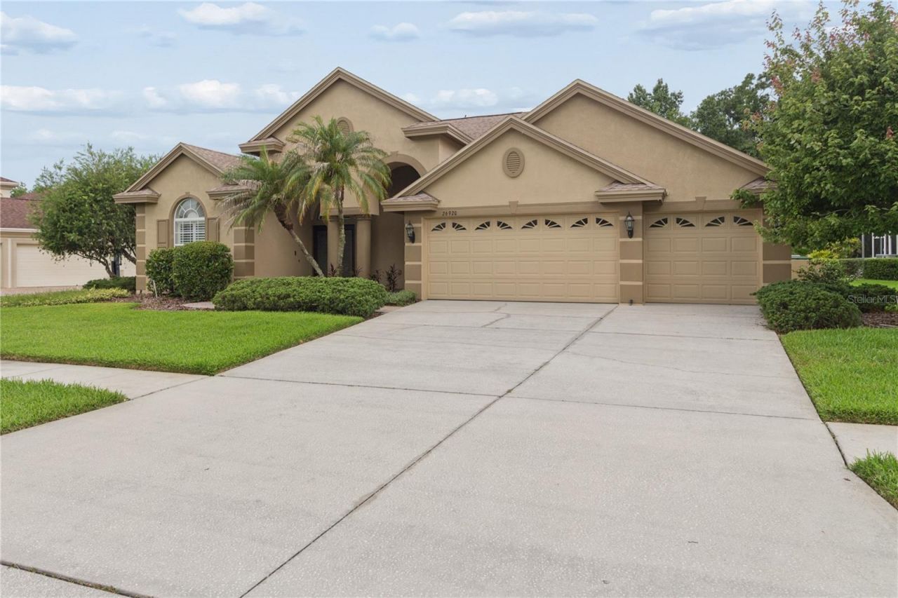 26920 Winged Elm Drive, Wesley Chapel, FL 33544 Photo