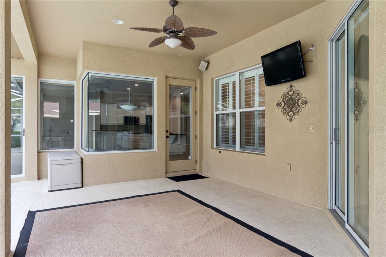 26920 Winged Elm Drive, Wesley Chapel, FL 33544 Photo