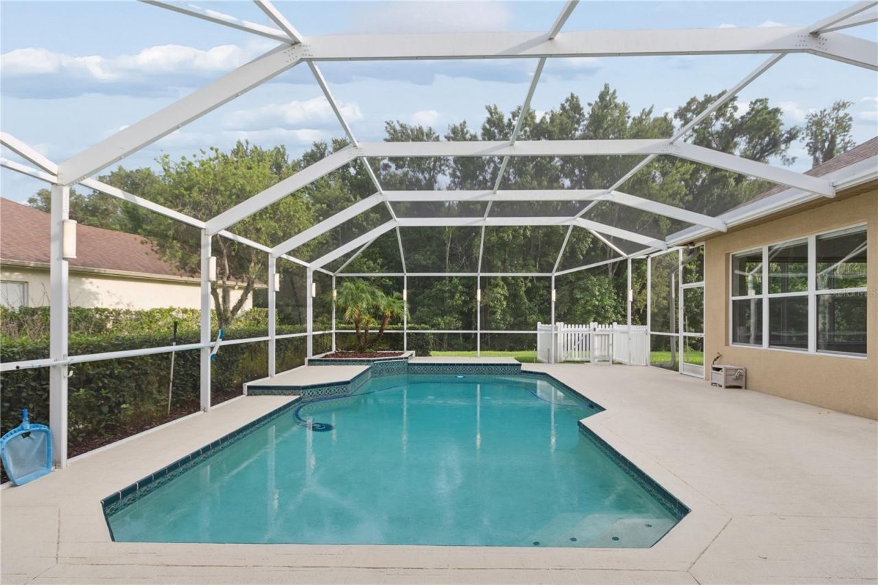 26920 Winged Elm Drive, Wesley Chapel, FL 33544 Photo