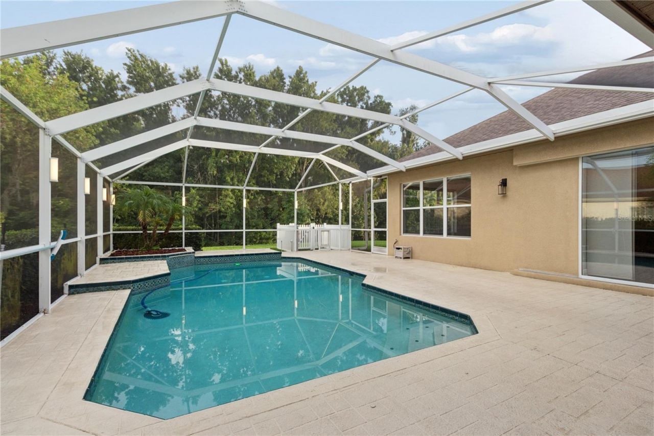 26920 Winged Elm Drive, Wesley Chapel, FL 33544 Photo